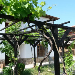 Отель Guest House Bai Petko Хисаря спортивное сооружение