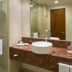 Отель Real Inn Expo Номер Делюкс фото 3