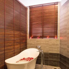 Valentine Hotel 3* Номер Делюкс с различными типами кроватей фото 18