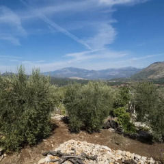 Отель Le Capanne di Villa Margherita Студия фото 38