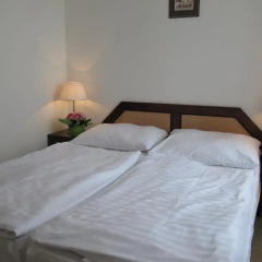 Hotel Jana / Pension Domov Mladeze Стандартный номер с двуспальной кроватью (общая ванная комната) фото 3