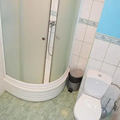Well Hotel 3* Полулюкс с различными типами кроватей фото 9