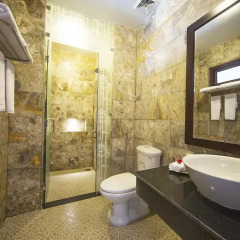 Отель Pham Gia Boutique Villa 3* Номер Делюкс с различными типами кроватей фото 4