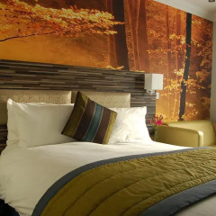 Отель Diamond Lodge 3* Стандартный номер с различными типами кроватей фото 4