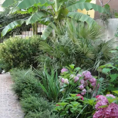 Mashuk Hotel 2* Стандартный номер с различными типами кроватей фото 38