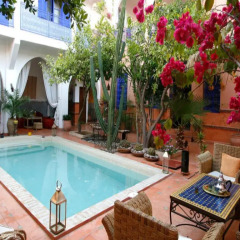 Отель Riad Les Cigognes Марокко, Марракеш - отзывы, цены и фото номеров - забронировать отель Riad Les Cigognes онлайн бассейн фото 2