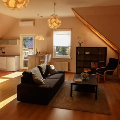 Апартаменты Vecbulduri Apartment Jurmala комната для гостей фото 3