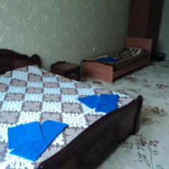 Гостиница Guest House Nika Номер Делюкс с различными типами кроватей фото 9