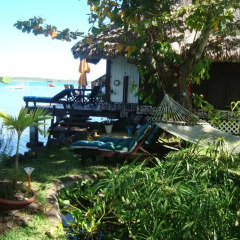 Отель Bora Bora Bungalove Французская Полинезия, Бора-Бора - отзывы, цены и фото номеров - забронировать отель Bora Bora Bungalove онлайн фото 17