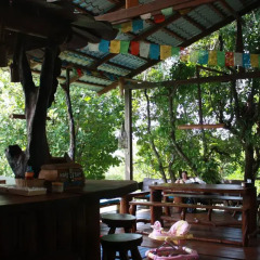 Отель Nature Lodge питание