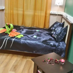 Гостиница Travel Inn Aviamotornaya 2* Стандартный номер с различными типами кроватей фото 19