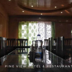 Отель Pineview Hotel Индия, Гульмарг - отзывы, цены и фото номеров - забронировать отель Pineview Hotel онлайн помещение для мероприятий