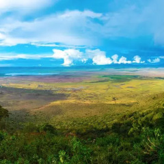 Отель Nature Homes - Africa Amini Life фото 11