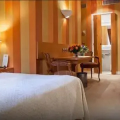 Odéon Hotel 3* Улучшенный номер с различными типами кроватей фото 19