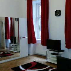 Апартаменты Goldfisch Apartment Central Park Апартаменты с различными типами кроватей фото 8