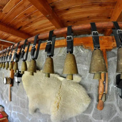 Отель Eco House Family Hotel Болгария, Чепеларе - отзывы, цены и фото номеров - забронировать отель Eco House Family Hotel онлайн бассейн