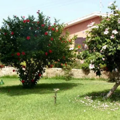 Отель Villa Smeralda Сиракуза фото 10