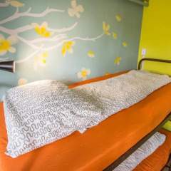 Island Hostel Adults only Кровать в общем номере фото 22