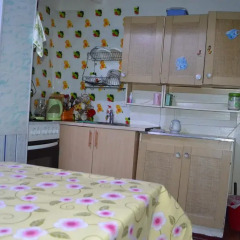 Отель Guest House on Derbisheva Кыргызстан, Каракол - отзывы, цены и фото номеров - забронировать отель Guest House on Derbisheva онлайн в номере