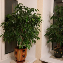 Апартаменты Apartment Gorkogo интерьер отеля