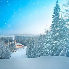 Отель Yastrebets Wellness & Spa Боровец приотельная территория