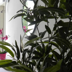 Отель Beautiful Venice Bed and Breakfast Италия, Маргера - отзывы, цены и фото номеров - забронировать отель Beautiful Venice Bed and Breakfast онлайн фото 3