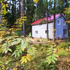 Парк-Отель Коркино Lake Коттедж с различными типами кроватей фото 4