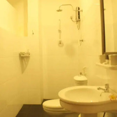Отель Pedler 62 Guest House Шри-Ланка, Галле - отзывы, цены и фото номеров - забронировать отель Pedler 62 Guest House онлайн ванная