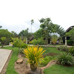 Отель Bannammao Resort 2* Бунгало с различными типами кроватей фото 5