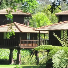 Отель Quinta Das Eiras 3* Студия фото 18