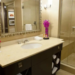 Отель Wyndham Grand Chicago Riverfront 4* Номер Делюкс с различными типами кроватей