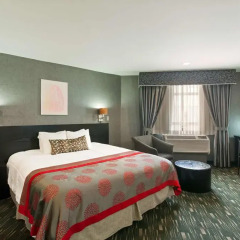 Ramada Plaza Hotel & Suites - West Hollywood 3* Стандартный номер с различными типами кроватей фото 4