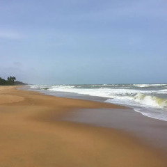 Отель Coconut Bay Шри-Ланка, Калутара - отзывы, цены и фото номеров - забронировать отель Coconut Bay онлайн пляж