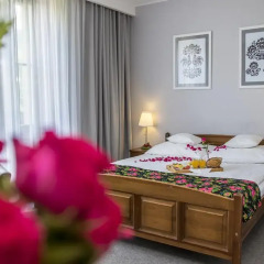 Отель Rezydencja Sienkiewiczówka 3* Стандартный номер с двуспальной кроватью