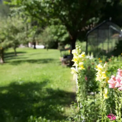 Romantik Hotel Stafler Кампо-ди-Тренс фото 3