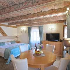 Отель Residence U Mecenáše Чехия, Прага - отзывы, цены и фото номеров - забронировать отель Residence U Mecenáše онлайн комната для гостей фото 2