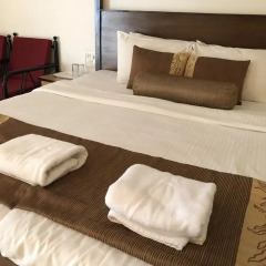 Отель Alegria - The Goan Village 2* Номер Делюкс с двуспальной кроватью фото 8