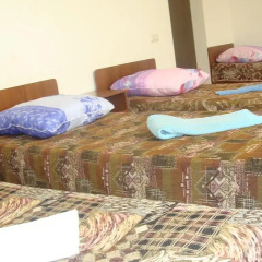 Гостиница Domoria Hostel в Сочи отзывы, цены и фото номеров - забронировать гостиницу Domoria Hostel онлайн комната для гостей фото 2