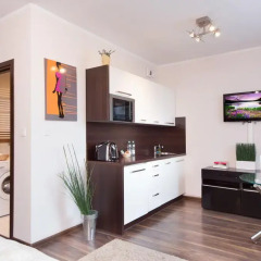Отель Activpark Apartaments Апартаменты Премиум фото 3