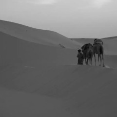 Отель Merzouga Desert Camp Марокко, Мерзуга - отзывы, цены и фото номеров - забронировать отель Merzouga Desert Camp онлайн с домашними животными