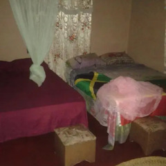 Отель Morgen Stern Guest House Порт Антонио комната для гостей фото 3