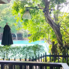 Отель Birds & Bees Resort 3* Люкс с 2 отдельными кроватями фото 20