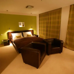 Aston Business Hotel 3* Номер Бизнес с различными типами кроватей фото 10