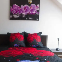 Отель Vilnius Guest House спа