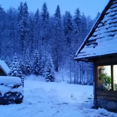 Отель Camping Harenda Pokoje Gościnne i Domki Закопане фото 3