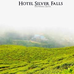 Hotel Silver Falls фото 3