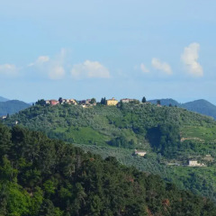 Отель B&B Il Trebbio Италия, Массароза - отзывы, цены и фото номеров - забронировать отель B&B Il Trebbio онлайн фото 3