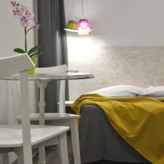 Seiler Hotel 2* Номер Комфорт с двуспальной кроватью фото 4