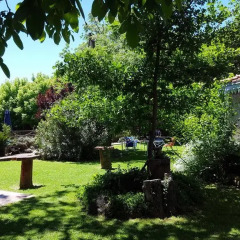 Отель Apart Cabañas Oasis del Valle Вилья Кура Брочеро фото 3