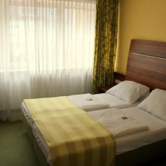 Hotel Wallis 3* Номер Комфорт с разными типами кроватей фото 4